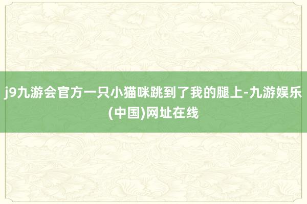 j9九游会官方一只小猫咪跳到了我的腿上-九游娱乐(中国)网址在线