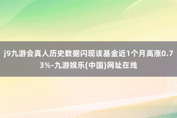 j9九游会真人历史数据闪现该基金近1个月高涨0.73%-九游娱乐(中国)网址在线