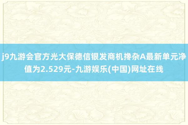 j9九游会官方光大保德信银发商机搀杂A最新单元净值为2.529元-九游娱乐(中国)网址在线