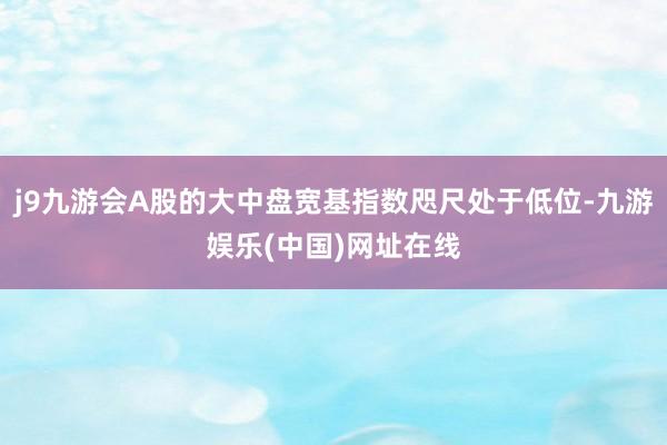 j9九游会A股的大中盘宽基指数咫尺处于低位-九游娱乐(中国)网址在线