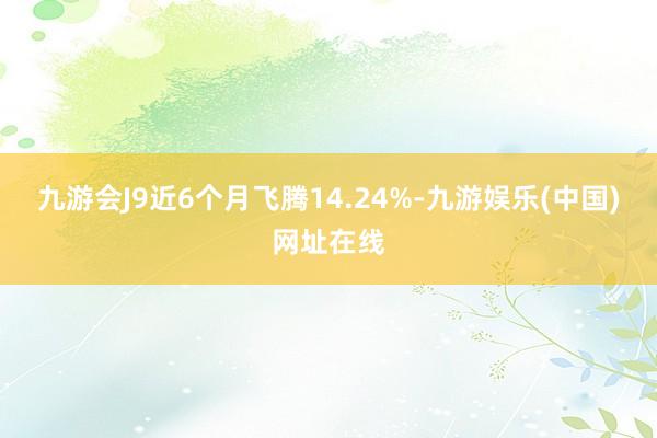 九游会J9近6个月飞腾14.24%-九游娱乐(中国)网址在线