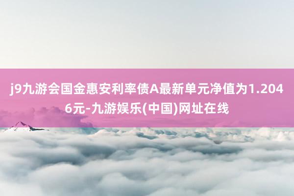 j9九游会国金惠安利率债A最新单元净值为1.2046元-九游娱乐(中国)网址在线