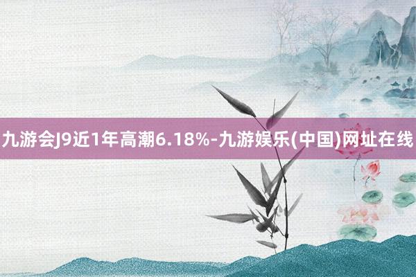 九游会J9近1年高潮6.18%-九游娱乐(中国)网址在线